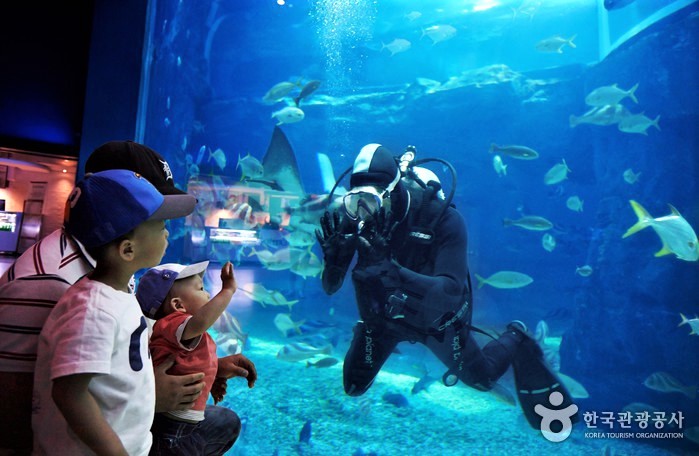水族館